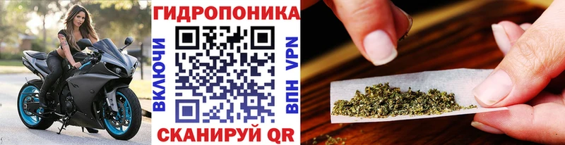 Где можно купить наркотики Осташков Гашиш  Канабис  Кокаин  Alpha-PVP  АМФЕТАМИН  Псилоцибиновые грибы  Мефедрон 