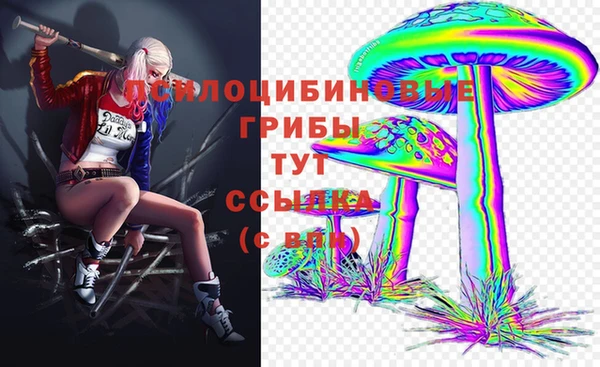 mix Алексин