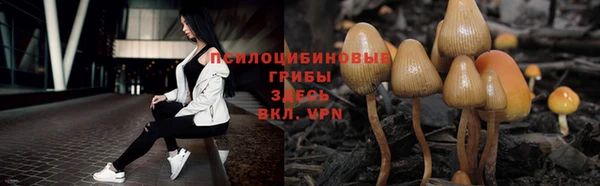 соль ск Абинск