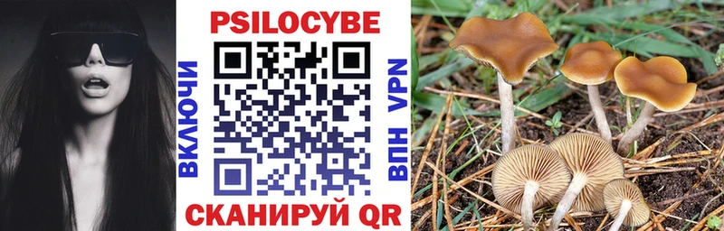 где найти   MEGA маркетплейс  Галлюциногенные грибы MAGIC MUSHROOMS  Осташков 